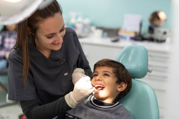 Best After-Hours Dental Trauma Care in Maria Stein, OH
